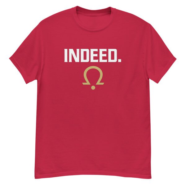 Indeed. Stargate SG-1 Shirt – Teal’c Inspired Minimalist Tee - Image 15